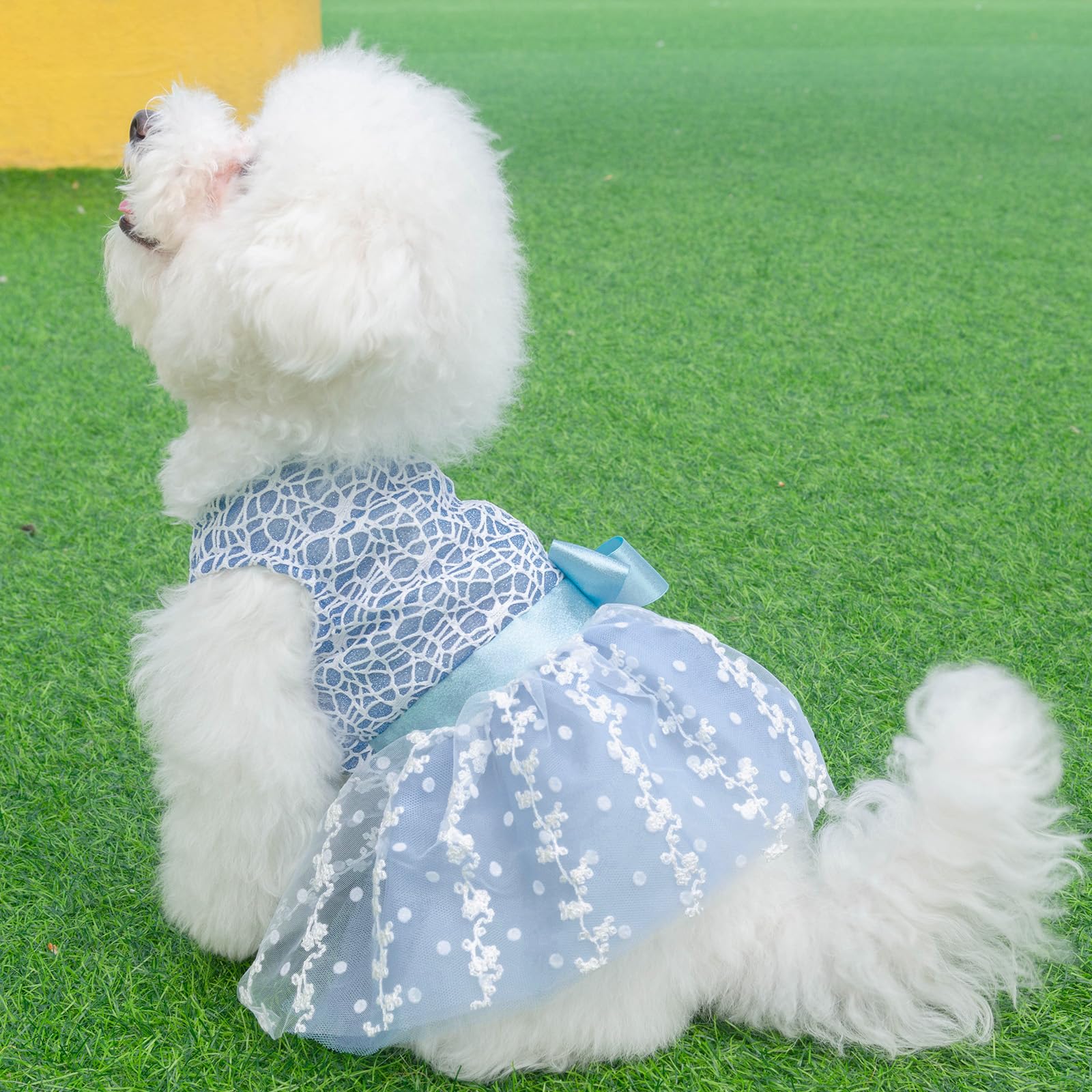 CuteBone vestido para eventos, perfecto para sesiones familiares y celebraciones.