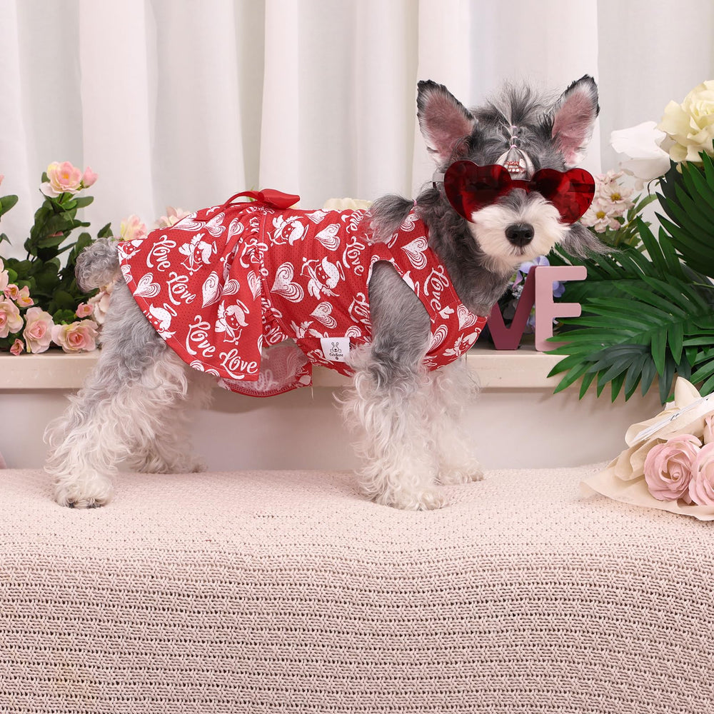 CuteBone vestido malla con lazo, look de princesa para eventos.