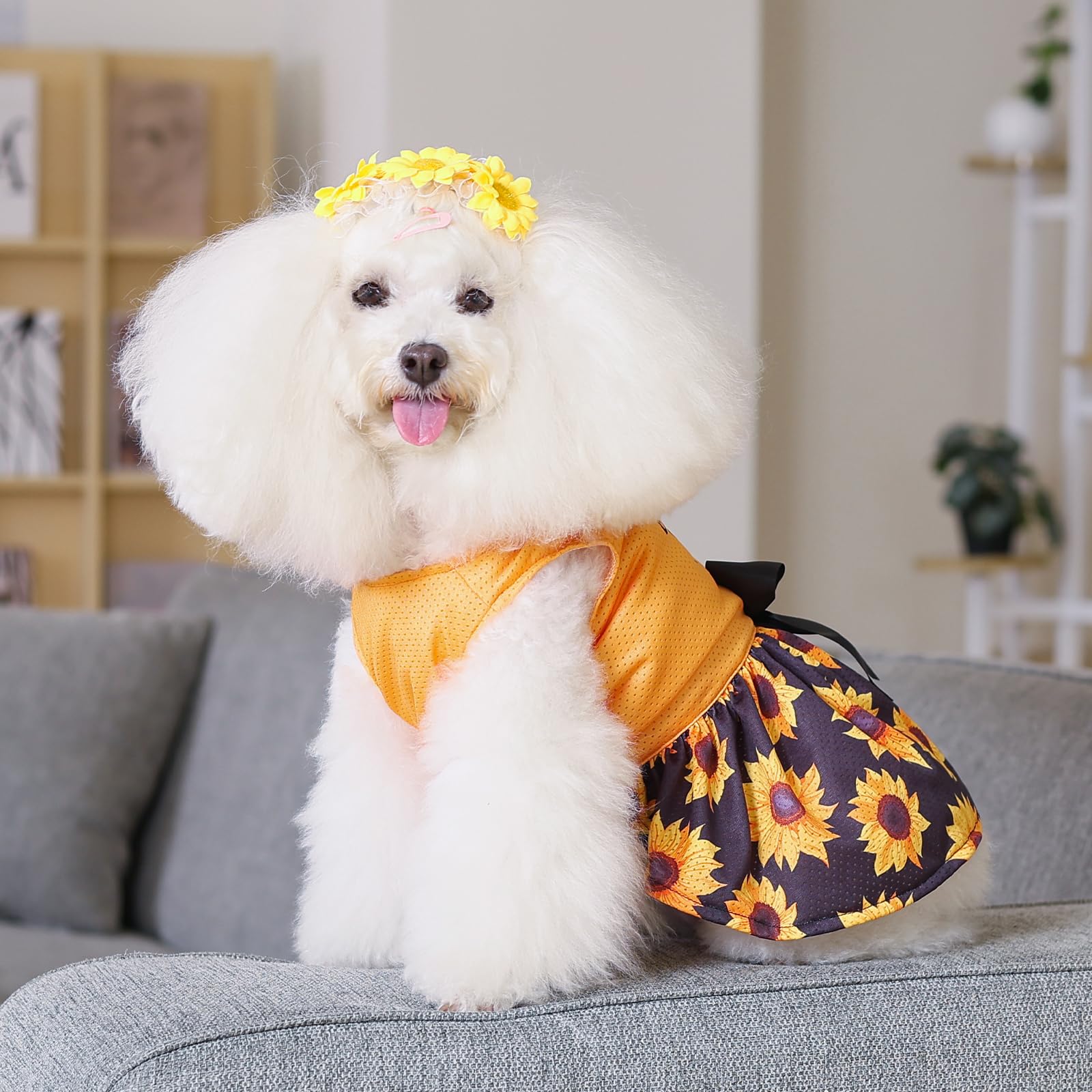 CuteBone vestido para perro malla confort, tela suave y transpirable durante todo el día.