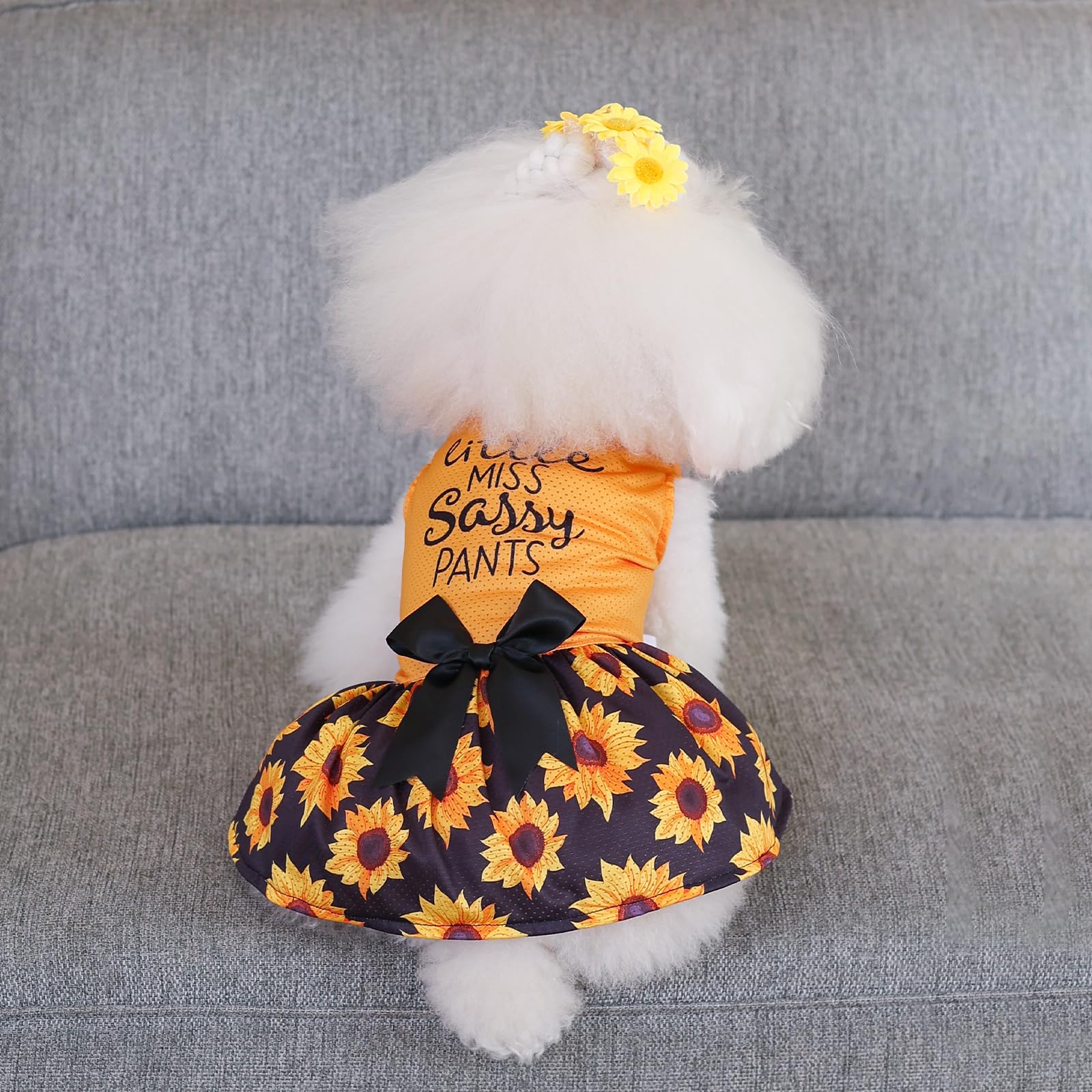 CuteBone vestido para perro malla para fiestas, perfecto para ocasiones especiales.