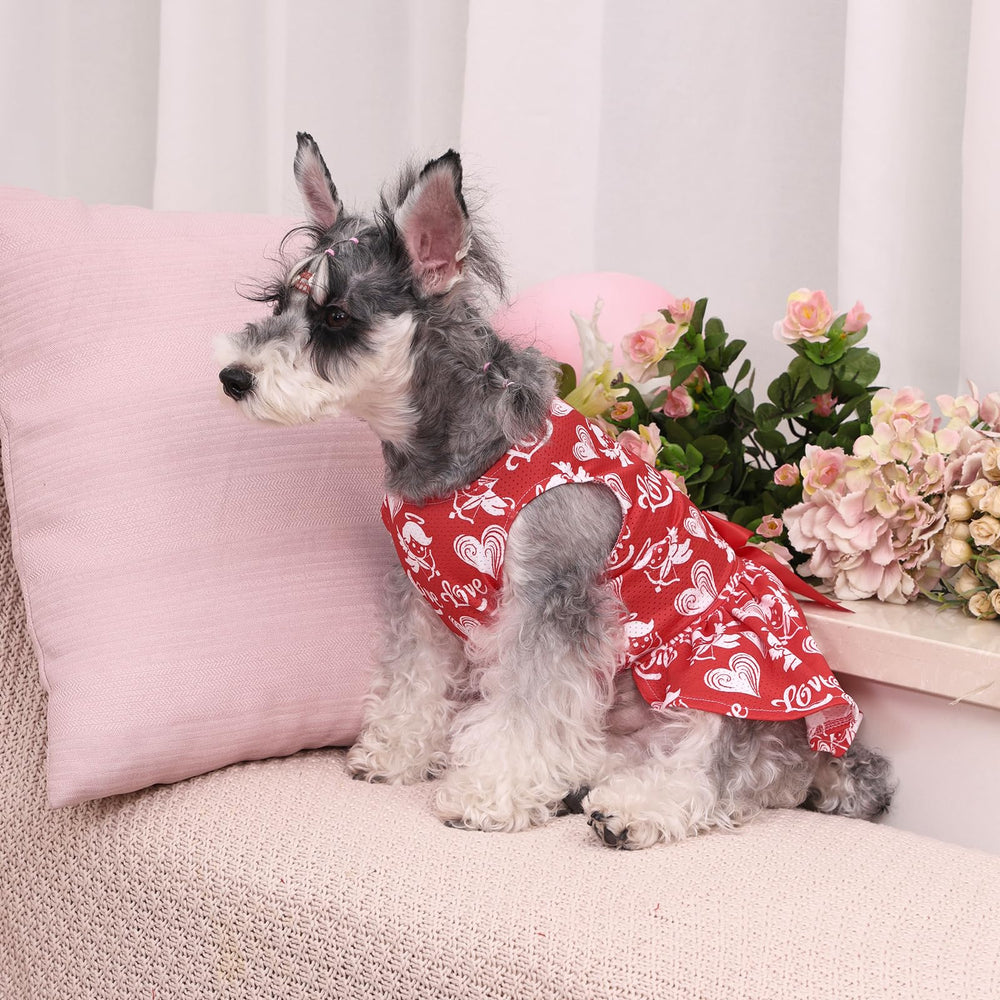 CuteBone vestido con diseño de paso por la cabeza, práctico para paseos.