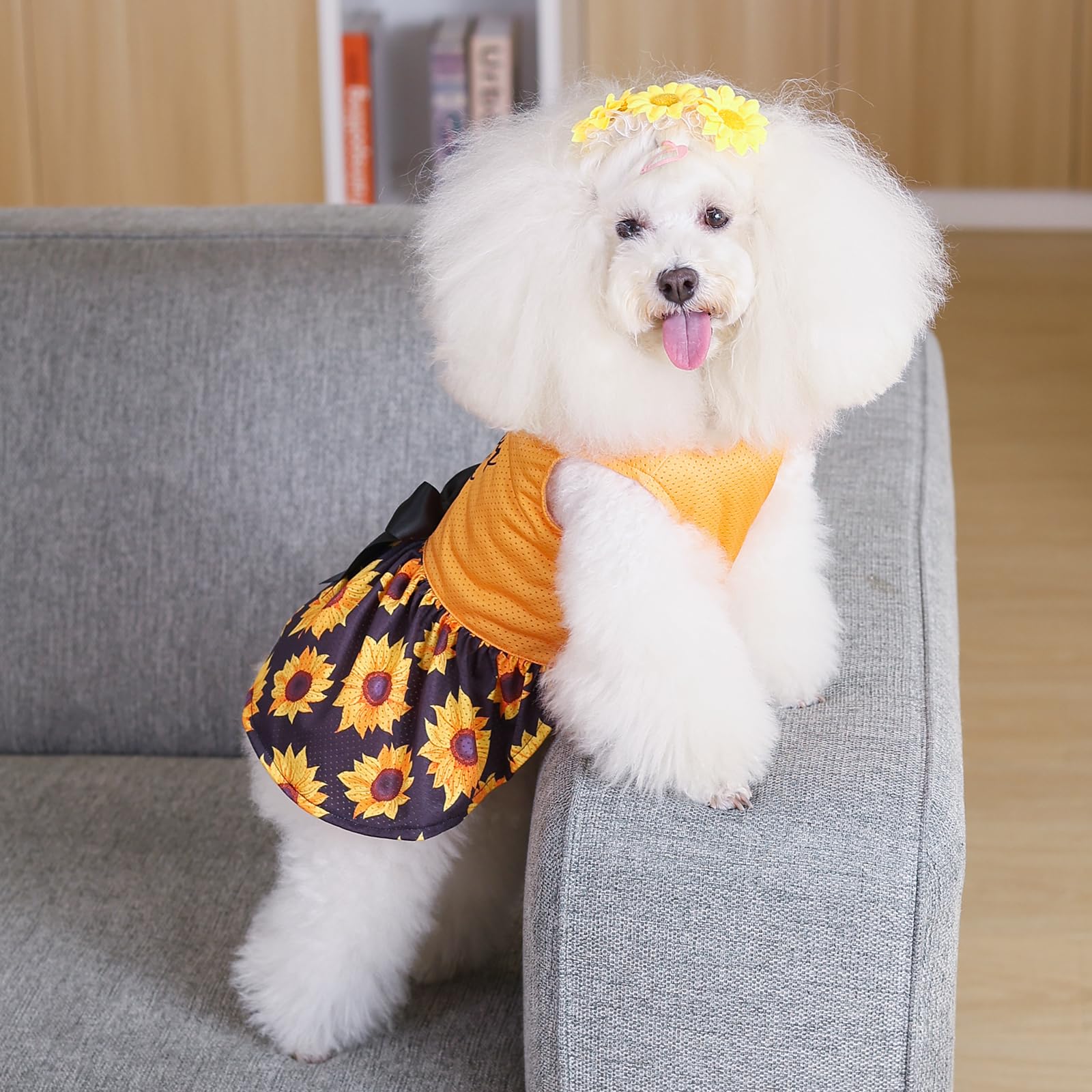 CuteBone vestido para perro malla talla pequeña, ajuste cómodo para razas pequeñas.