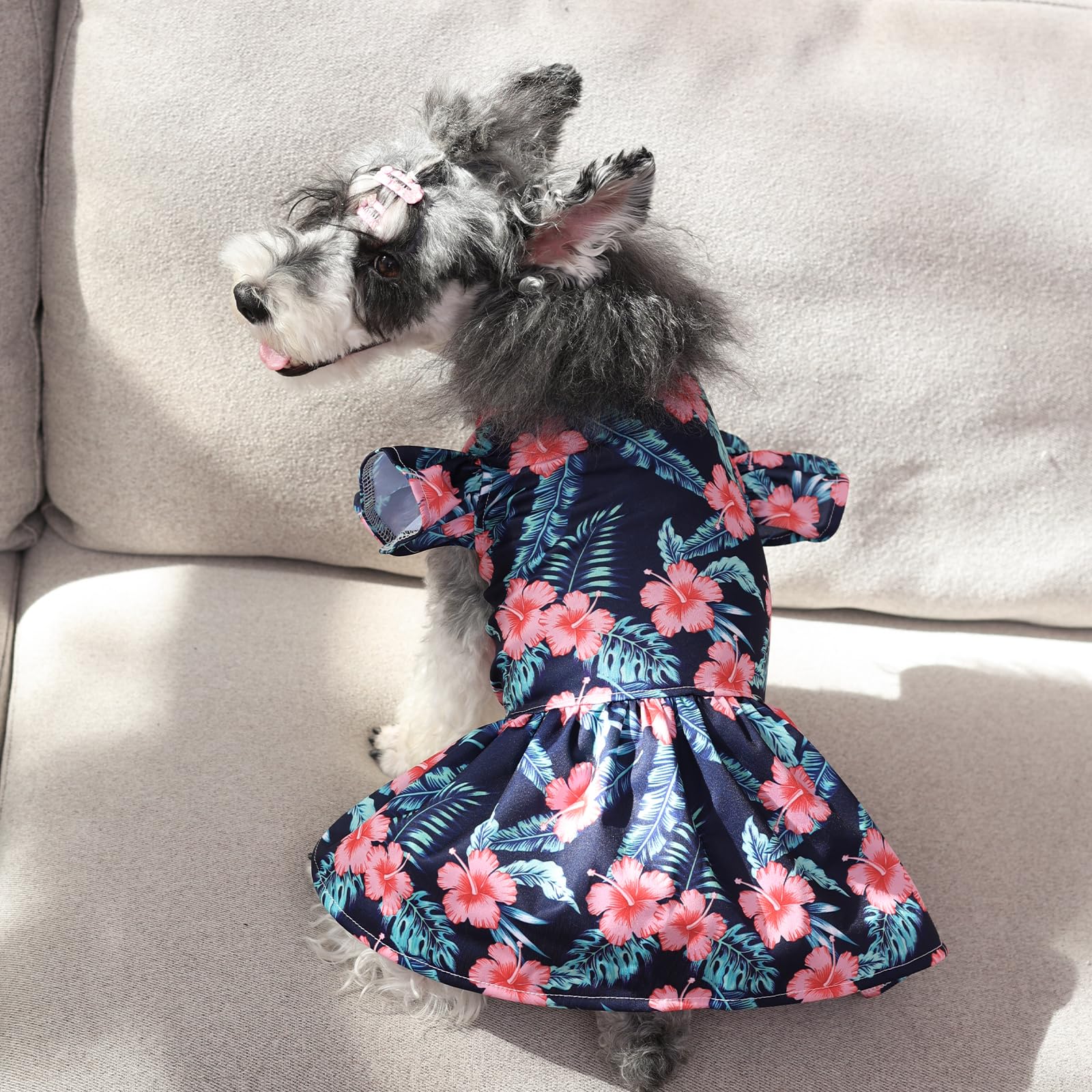CuteBone vestido para perro para fotos, ideal para sesiones familiares.