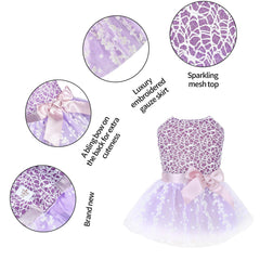 Vestido CuteBone para perro pequeno, vista trasera, ideal para fotos y fiestas.