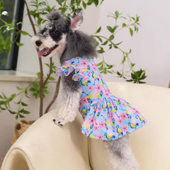 CuteBone vestido para perro pequeño, tejido suave y acabado frontal cómodo.