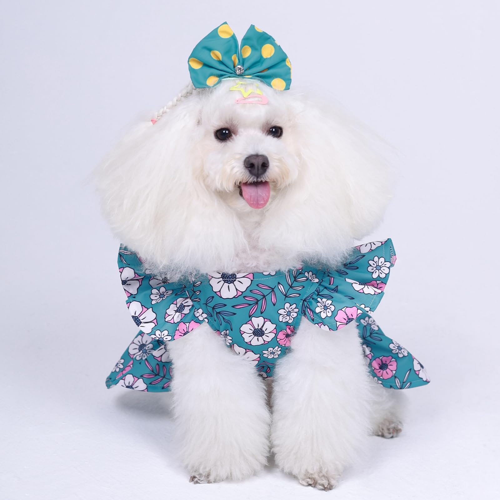 CuteBone vestido para perro pequeño, vista trasera con volantes.