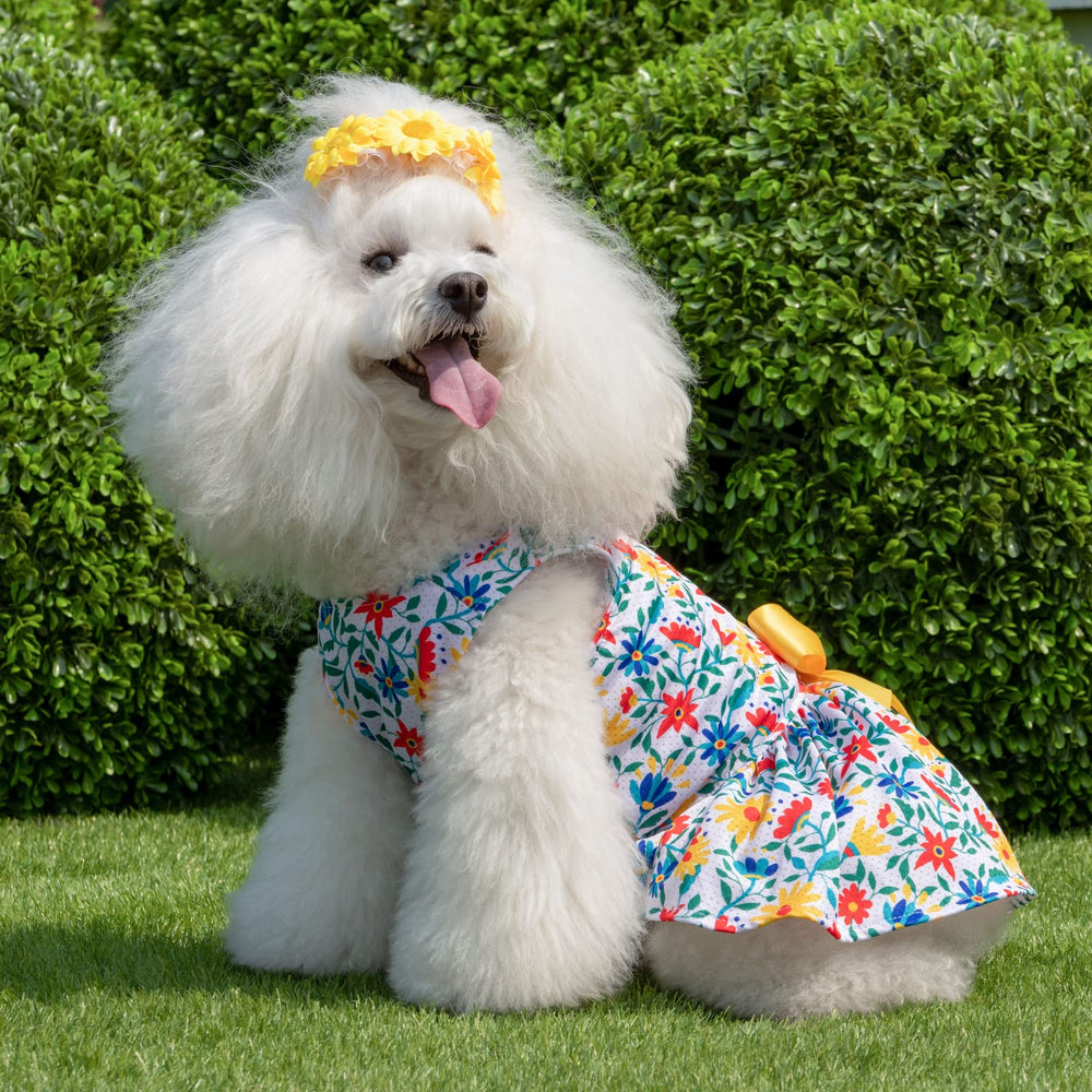 CuteBone prenda suave y transpirable para todas las estaciones.