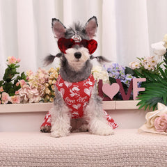 CuteBone vestido princesa para perro con lazo, perfecto para fotos.