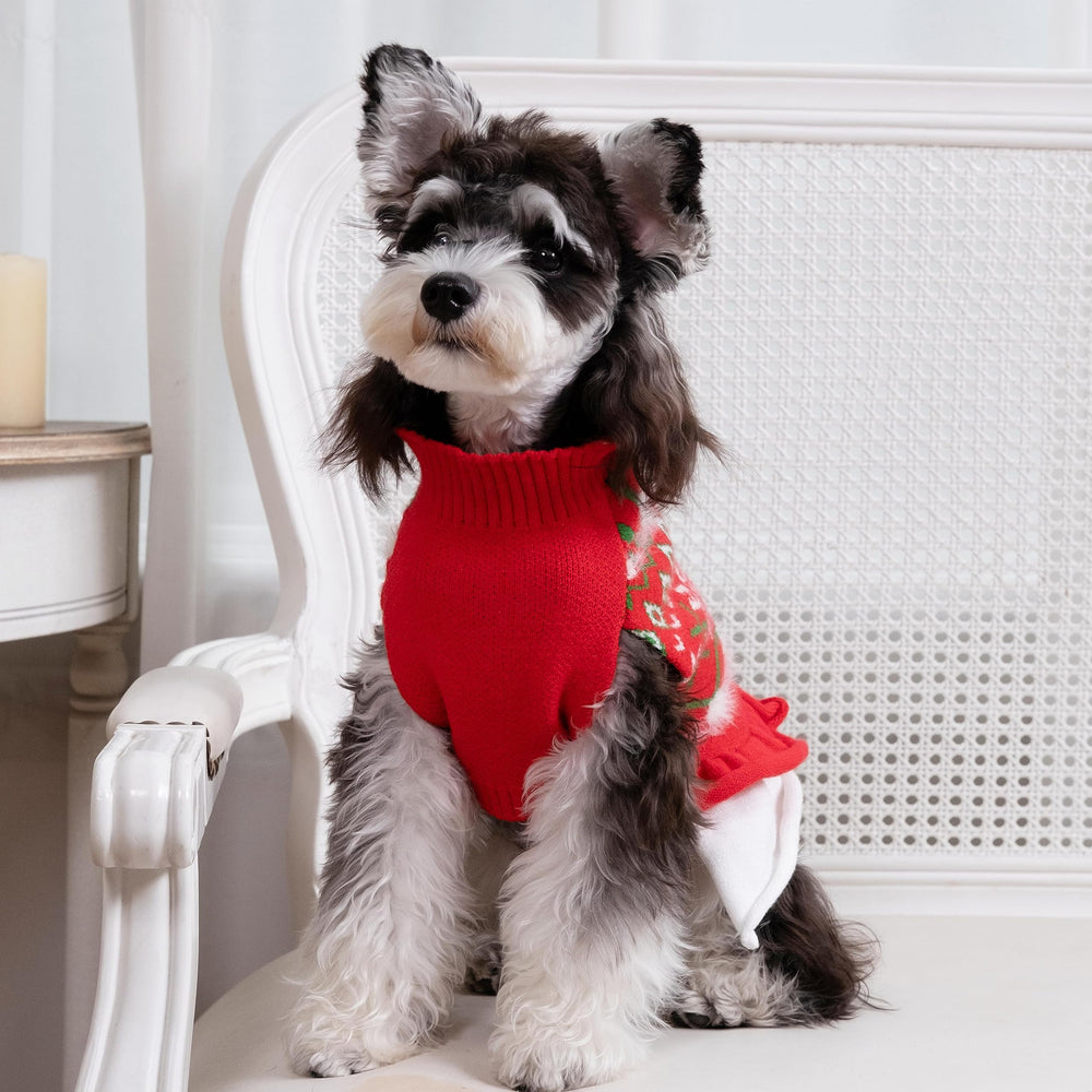 CuteBone vestido-sudadera para perro grande, espalda con volantes y detalle plegado