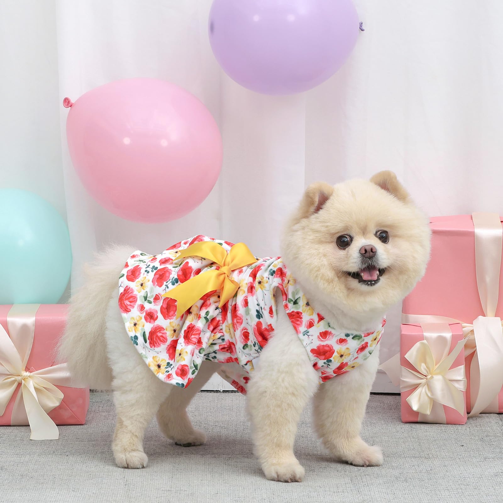 CuteBone vestido de terciopelo para perro pequeño, fácil de poner y quitar
