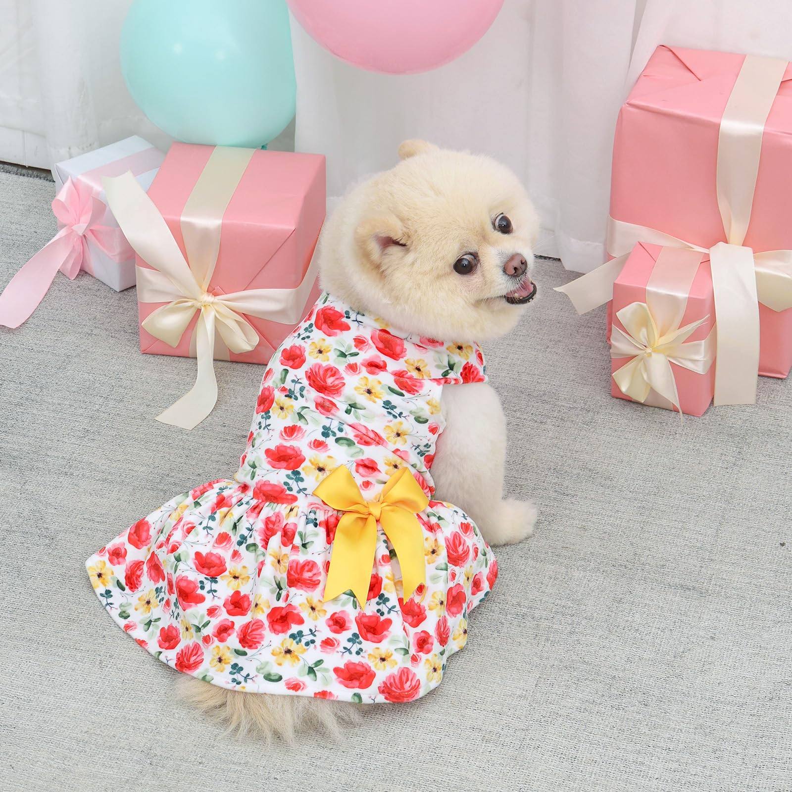 CuteBone vestido de terciopelo para perro pequeño, lavable a máquina