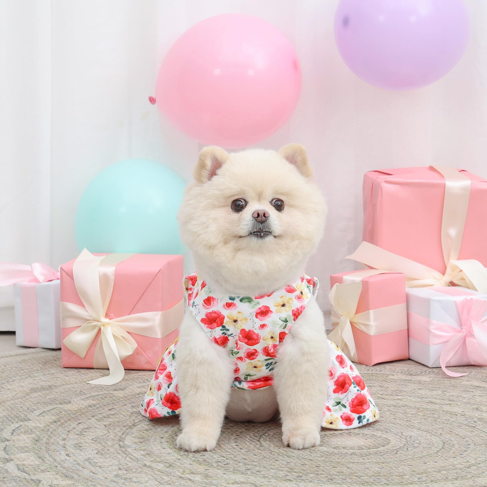 CuteBone vestido versátil de terciopelo para ocasiones especiales