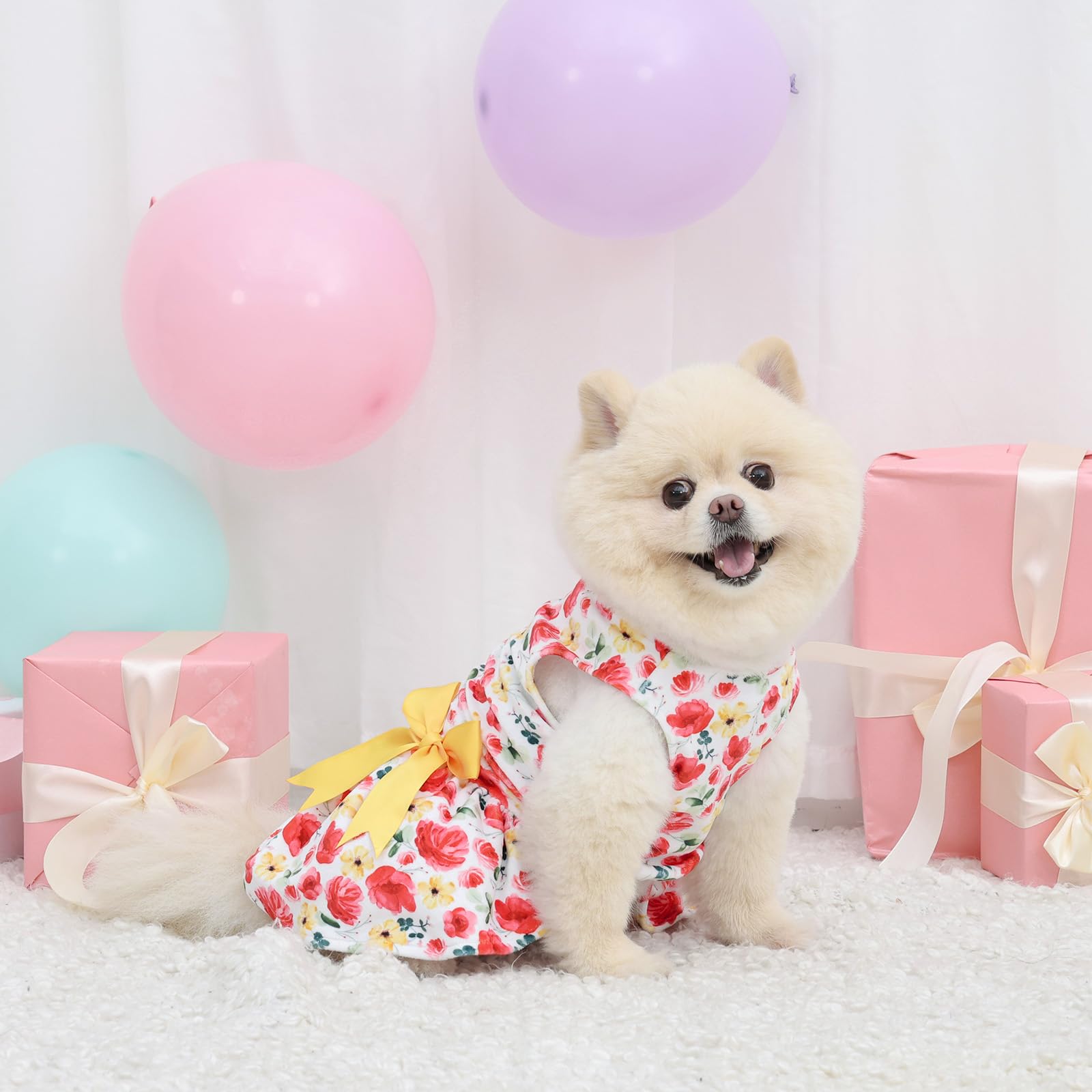 CuteBone vestido de terciopelo para perro pequeño, detalle de lazo
