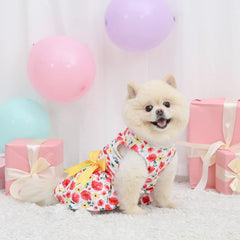 CuteBone vestido de terciopelo para perro pequeño, detalle de lazo