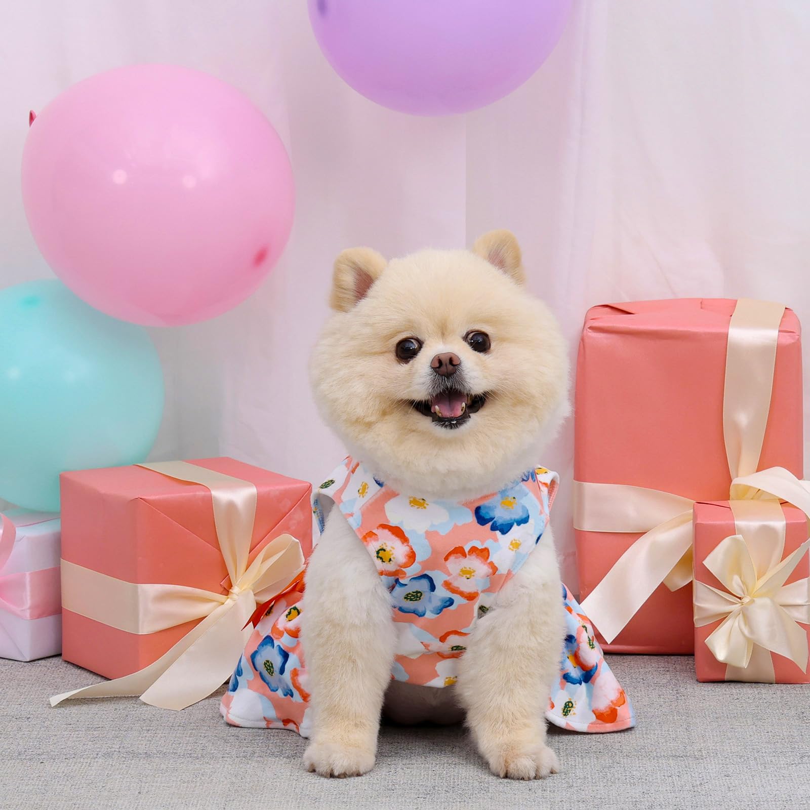CuteBone vestido para perro pequeño, ajuste cómodo durante todo el día.