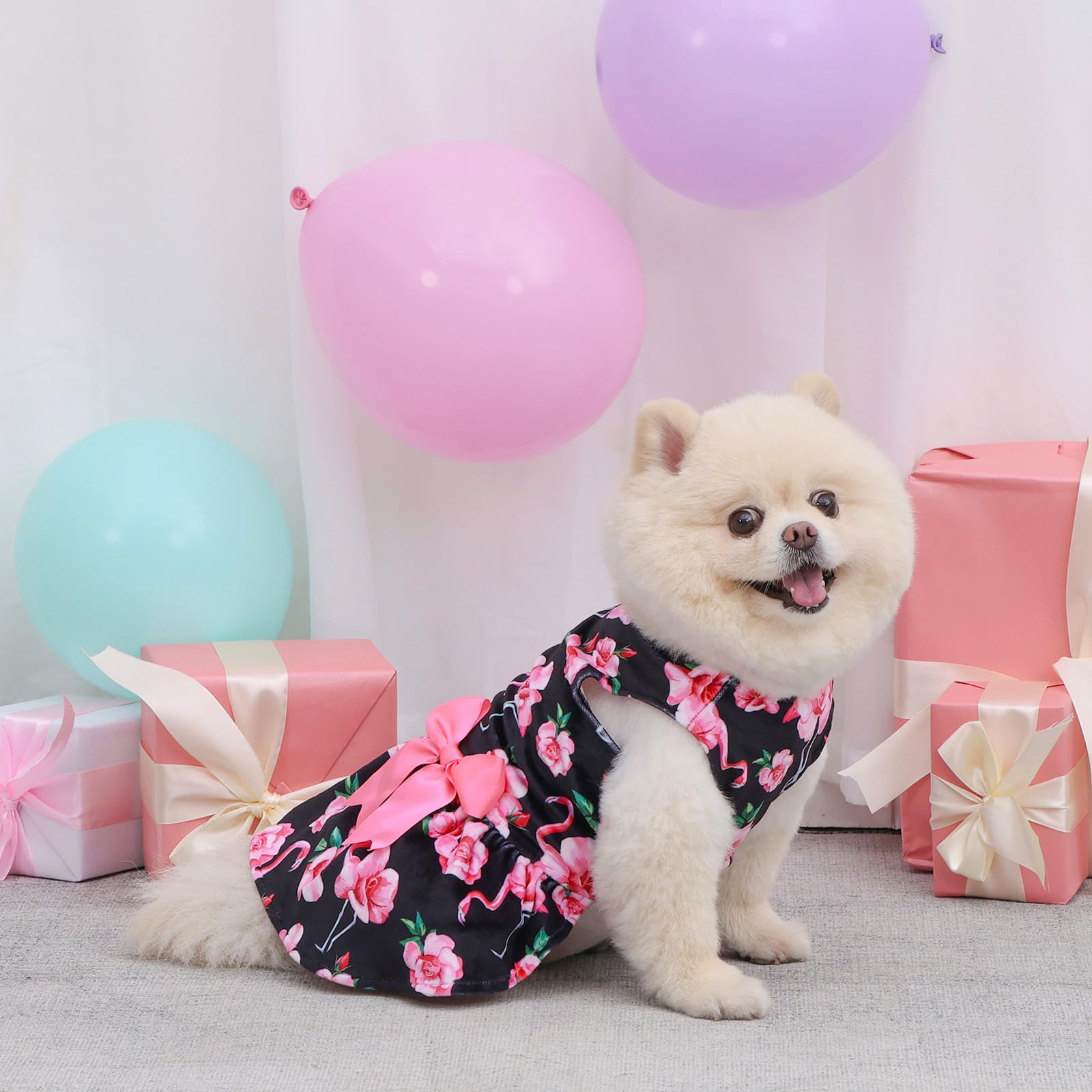 CuteBone vestido terciopelo para perro pequeño, diseño con apertura superior fácil de poner.