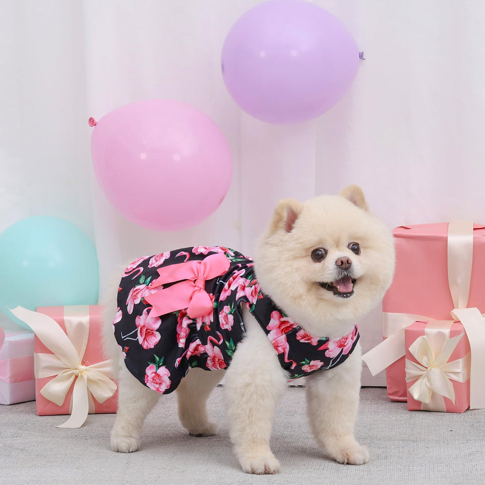 CuteBone vestido de terciopelo para perro pequeño, colores variados para combinar con cualquier ocasión.