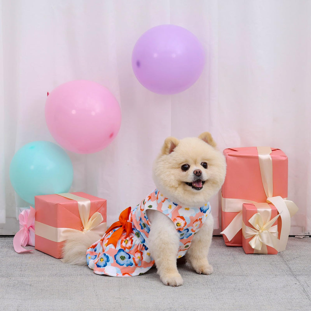 CuteBone vestido terciopelo para perro pequeño, duradero para juego diario.