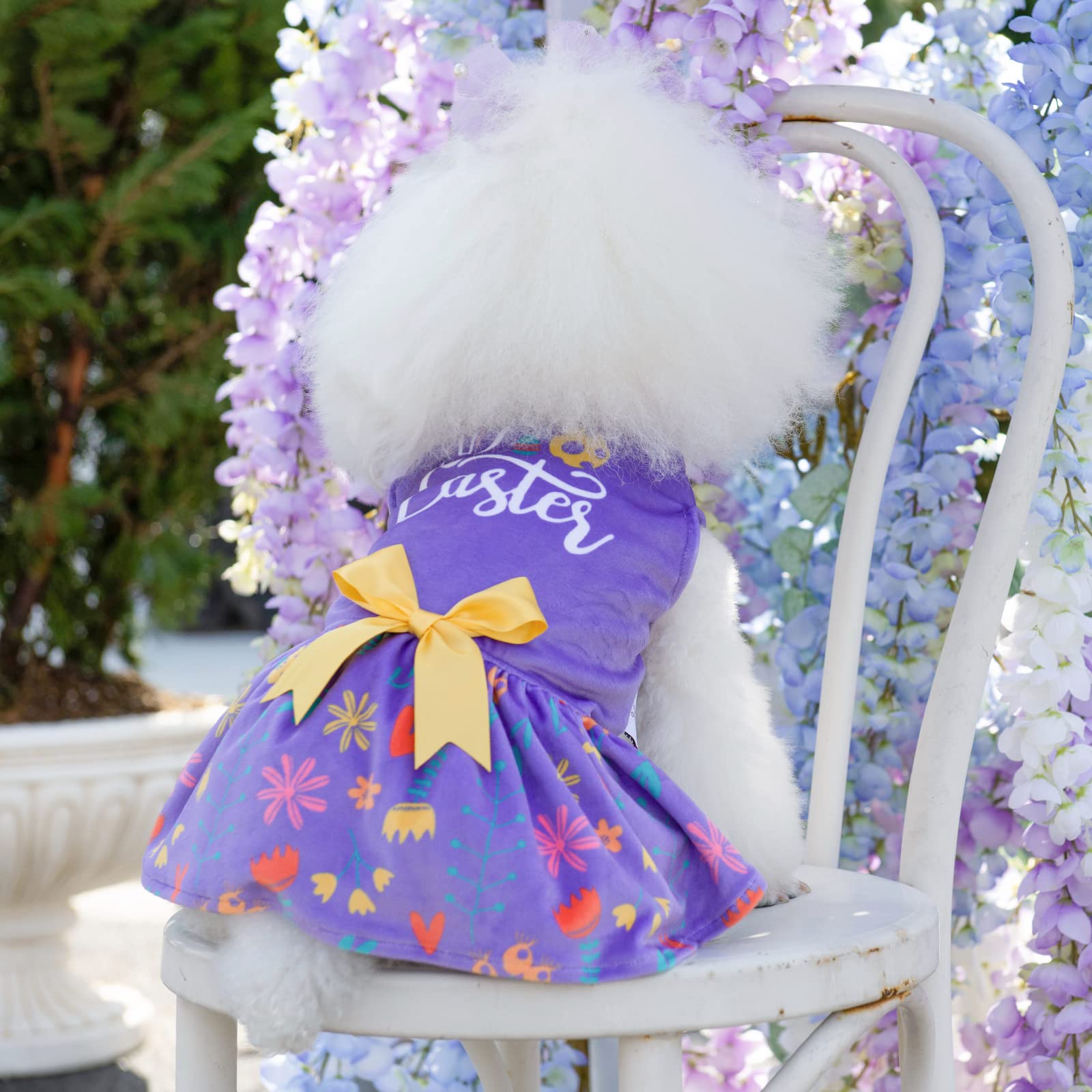 Vestido CuteBone morado listo para fiestas y eventos con perro pequeño.