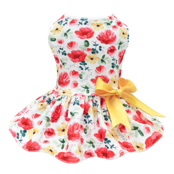Vestido de terciopelo CuteBone para perro pequeño, frente cómodo para paseos diarios.
