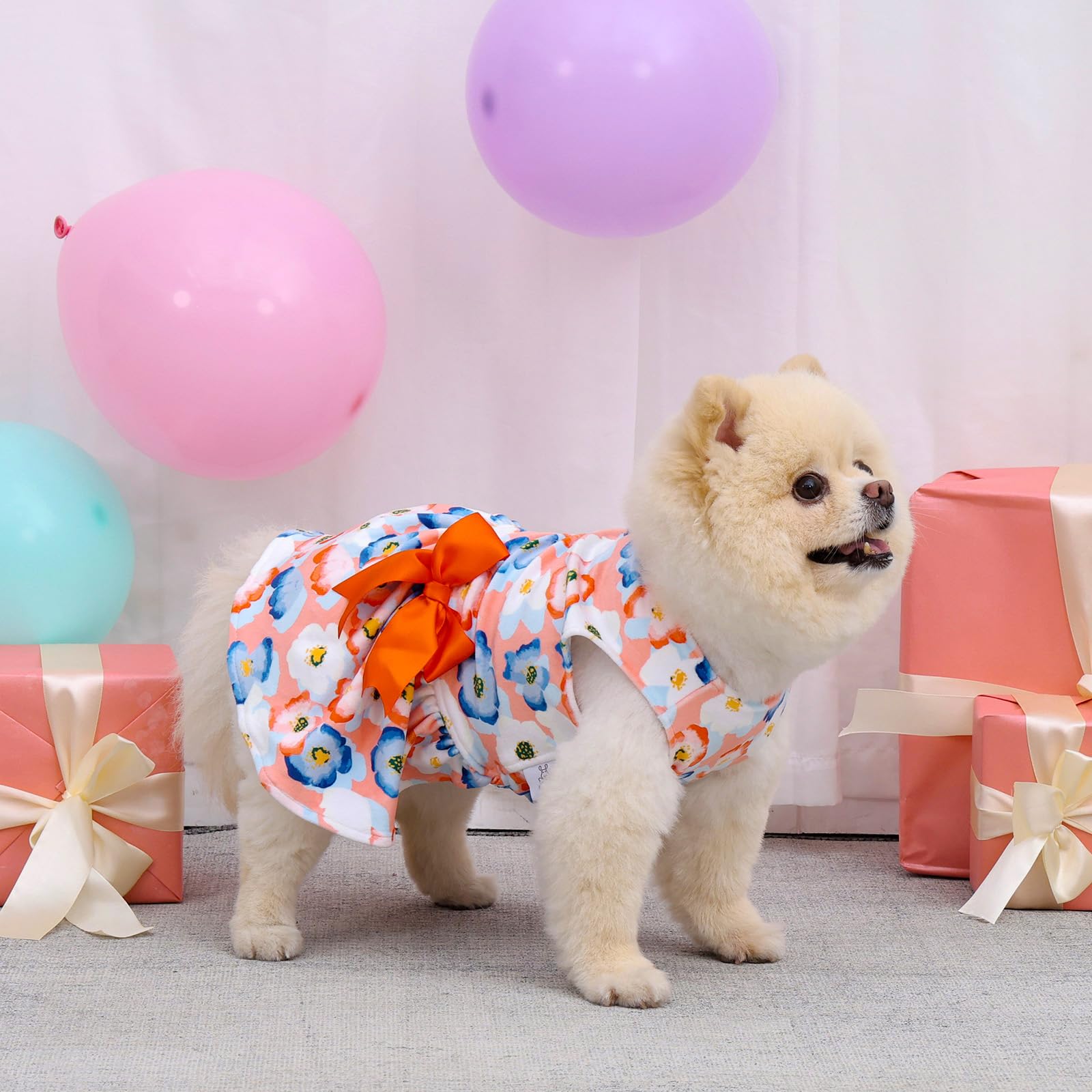 CuteBone vestido terciopelo para perro, lavable a máquina y fácil de limpiar.