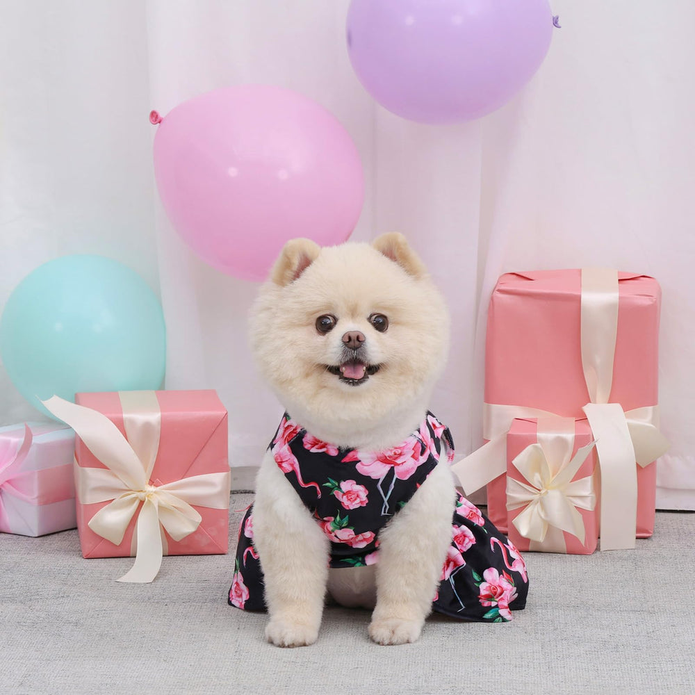 CuteBone vestido de terciopelo para perro pequeño, fácil de lavar a máquina para dueños ocupados.
