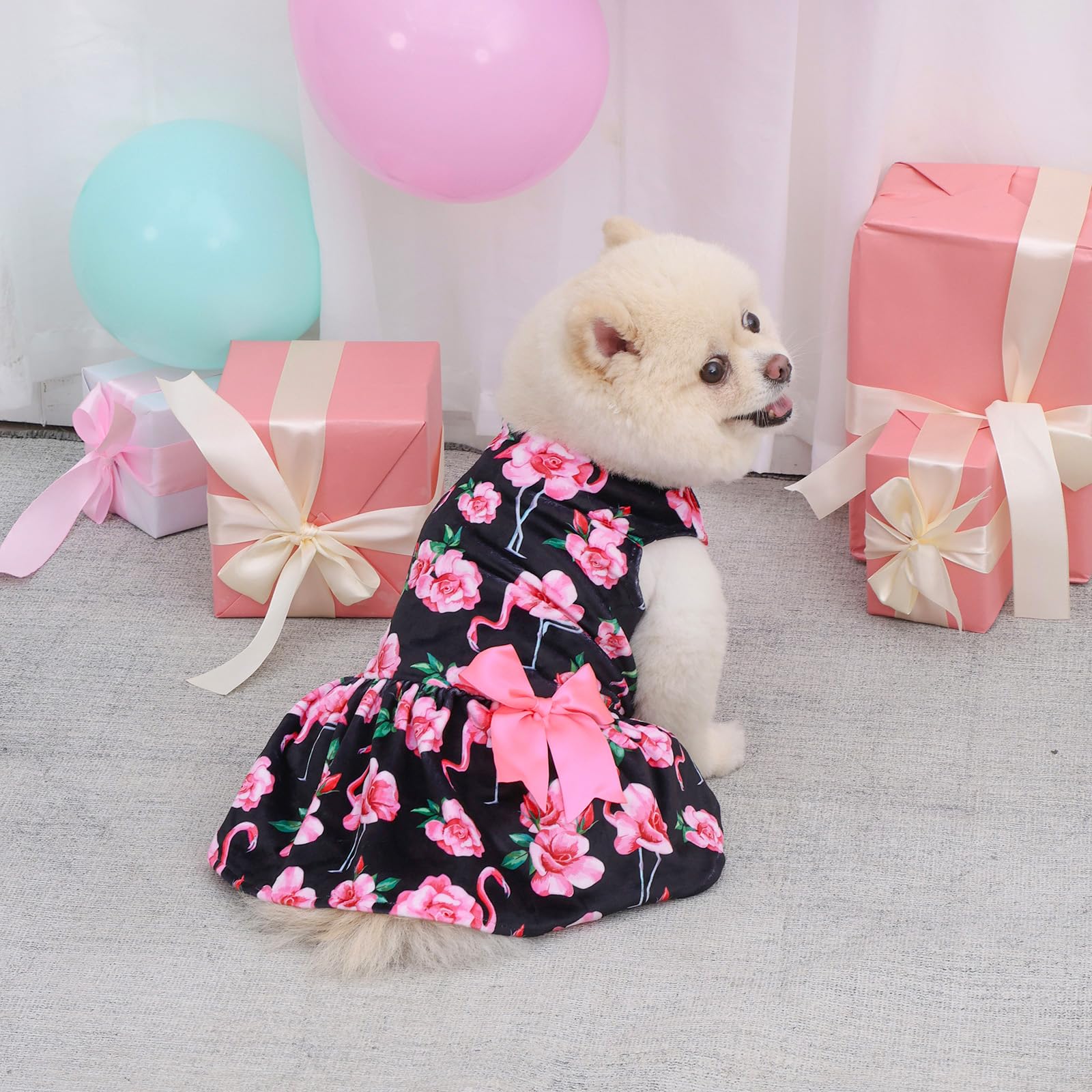 CuteBone vestido de terciopelo para perro pequeño, ideal para ocasiones especiales y salidas festivas.