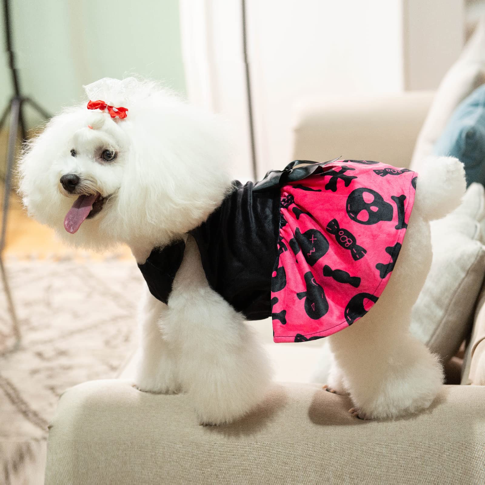 CuteBone vestido de uso diario, suave y transpirable para tu mascota.