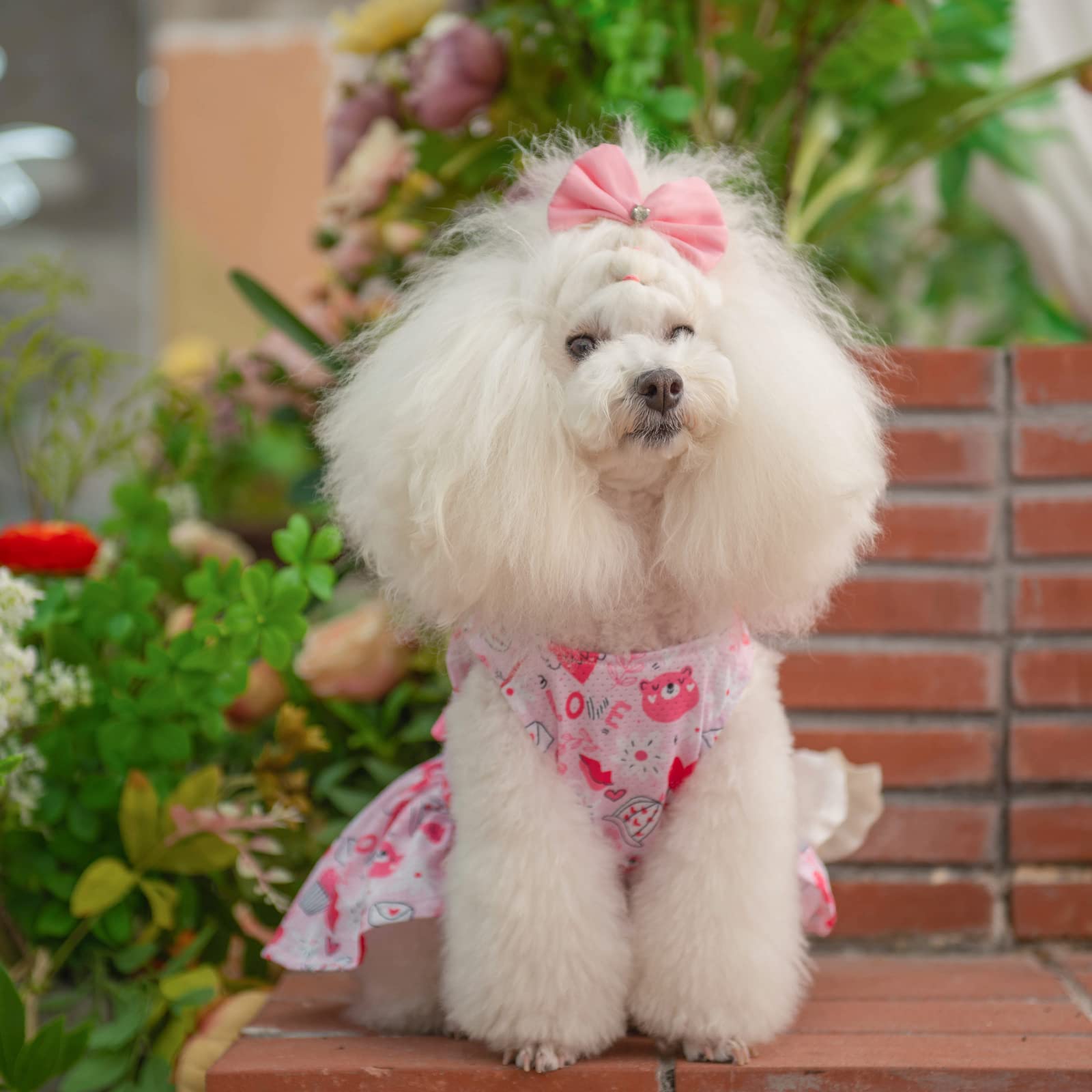 Vestido veraniego de CuteBone para fotos de mascotas.