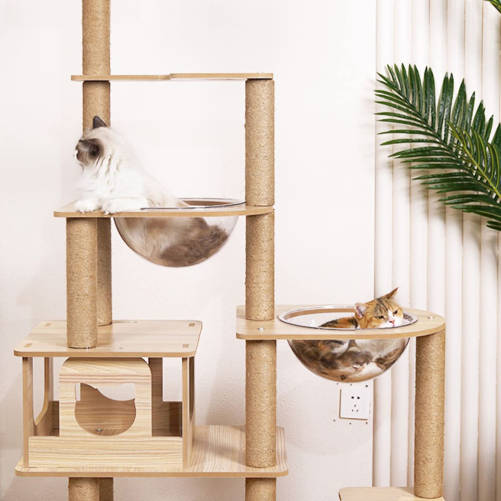 Cuyacili cápsula para torre de gatos, rincón de juego y reposo.
