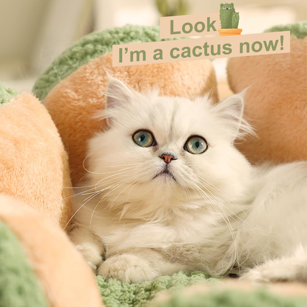 CWV Cama Gato Cactus, funda desmontable y lavable.