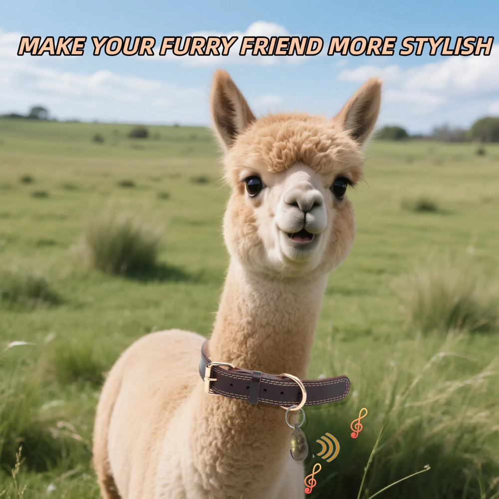 Cwyza collar de cuero genuino para alpacas, diseño resistente.