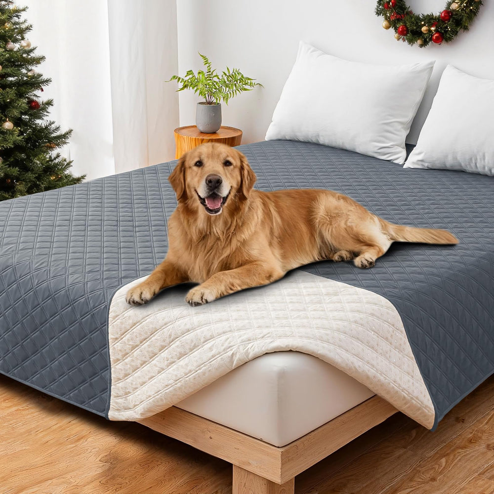 CYCMACO cobertor impermeable para sofá protege tu mueble de derrames y manchas