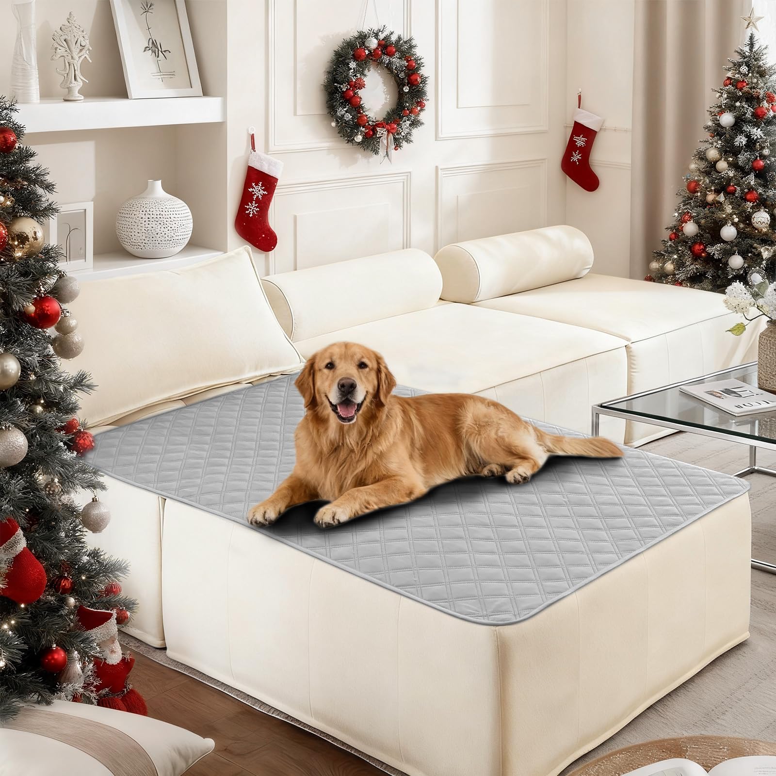 CYCMACO funda impermeable 40x50 gris claro protege muebles