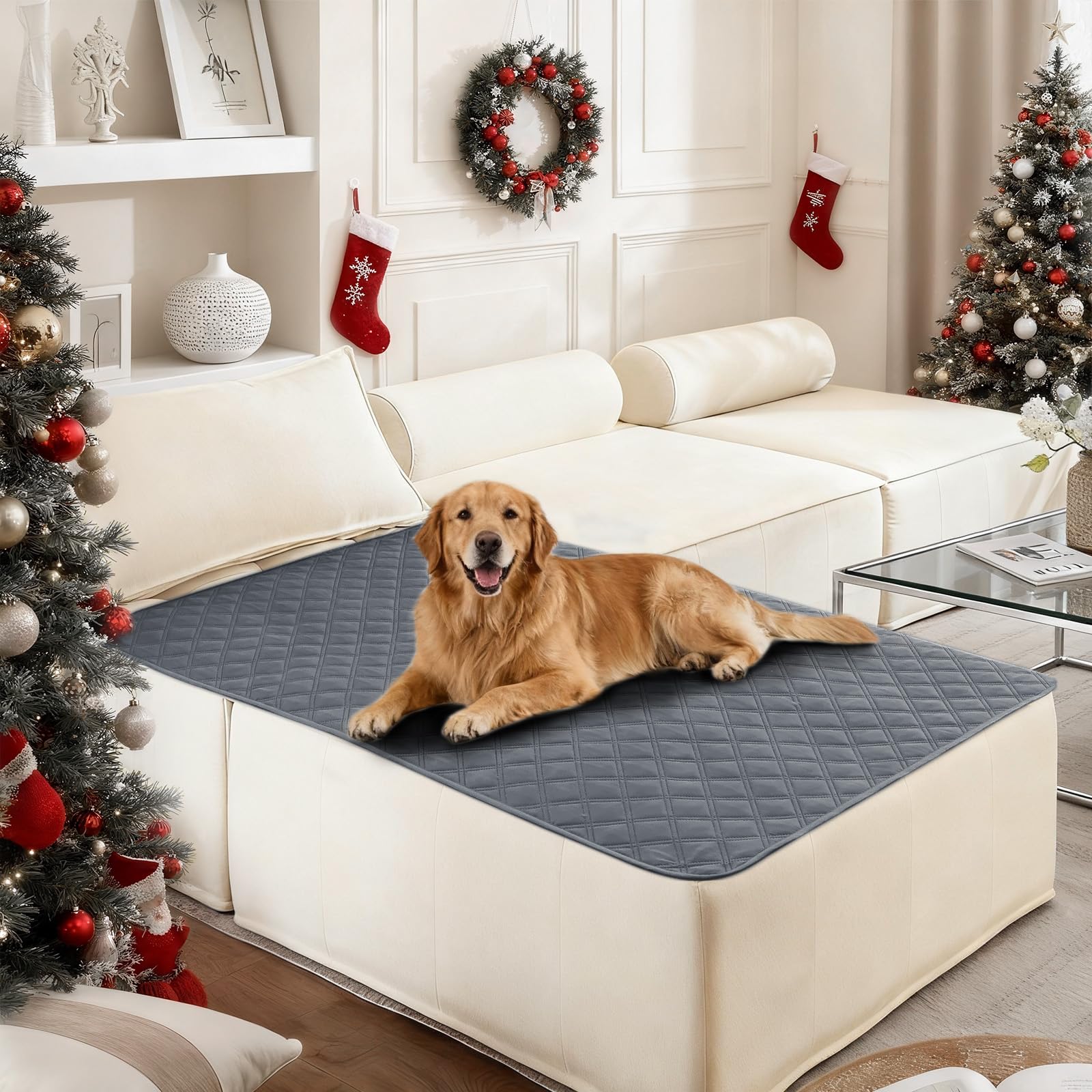 CYCMACO funda impermeable para perro sobre sofá protege muebles de manchas