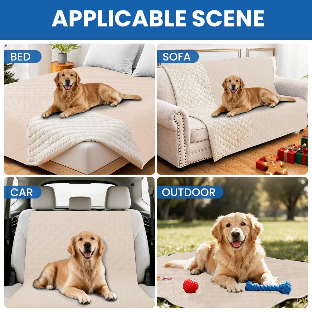 CYCMACO funda lavable a máquina para perros facilita la limpieza