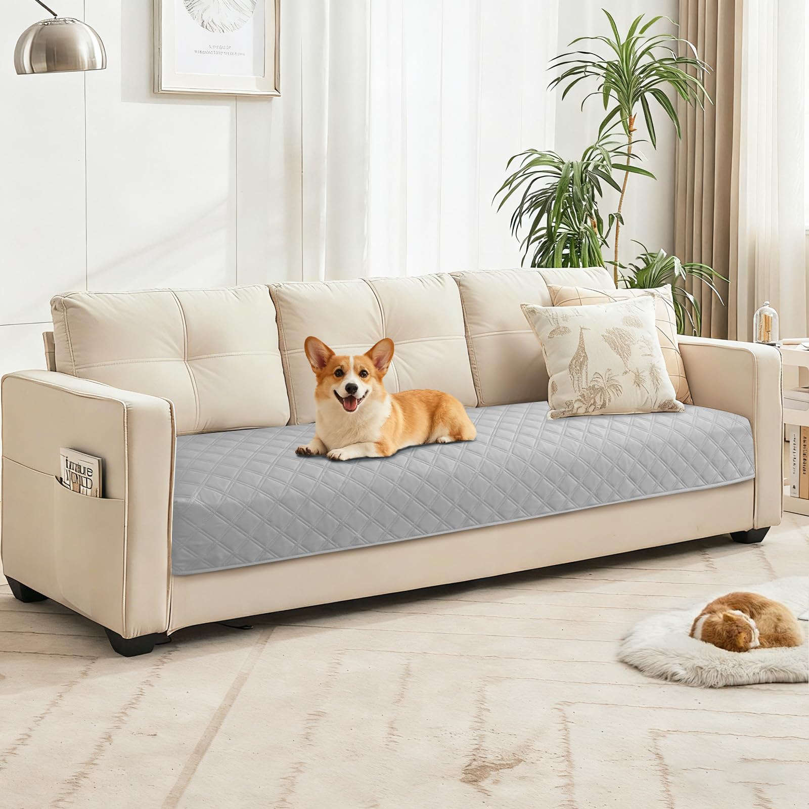 CYCMACO tamaño ideal para perros y gatos medianos a grandes