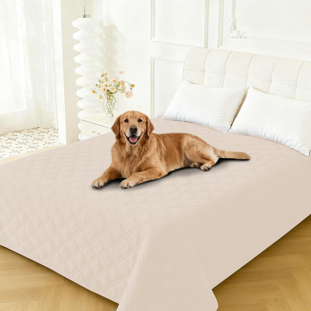CYCMACO tejido acolchado protege muebles manteniendo comodidad suave para tu mascota