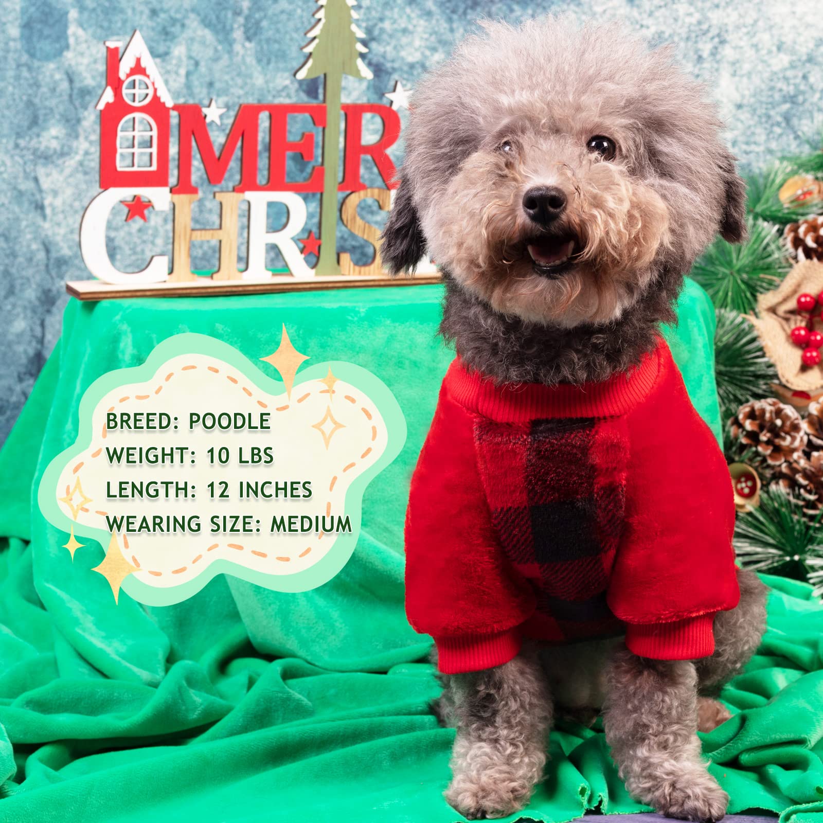 Chaqueta ligera para perro, perfecta para climas fríos