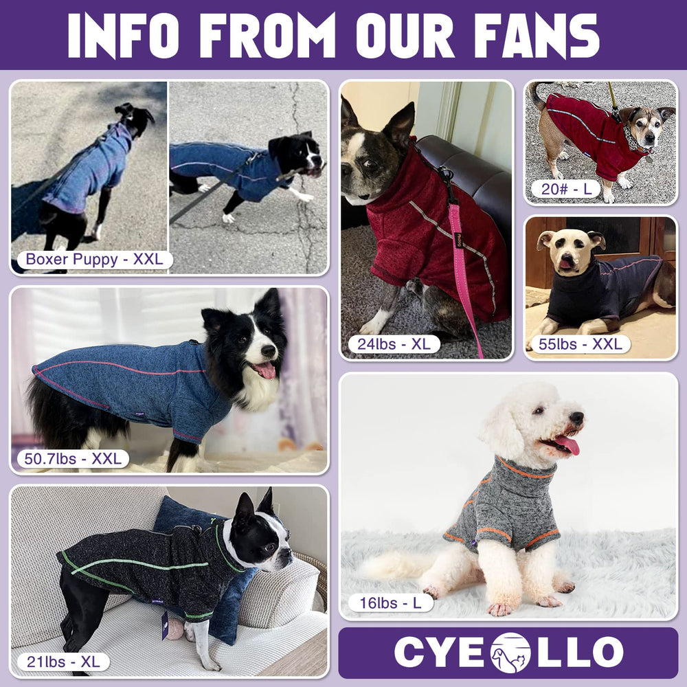 chaqueta perro cyeollo ajuste confortable para paseos seguros.