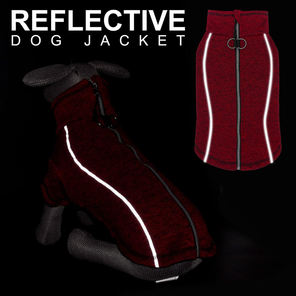chaqueta perro cyeollo paseo ligero para actividades diarias.