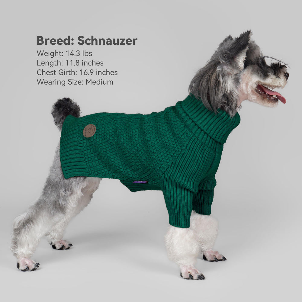 Color verde del suéter cyeollo para perros grandes, ideal para paseos.