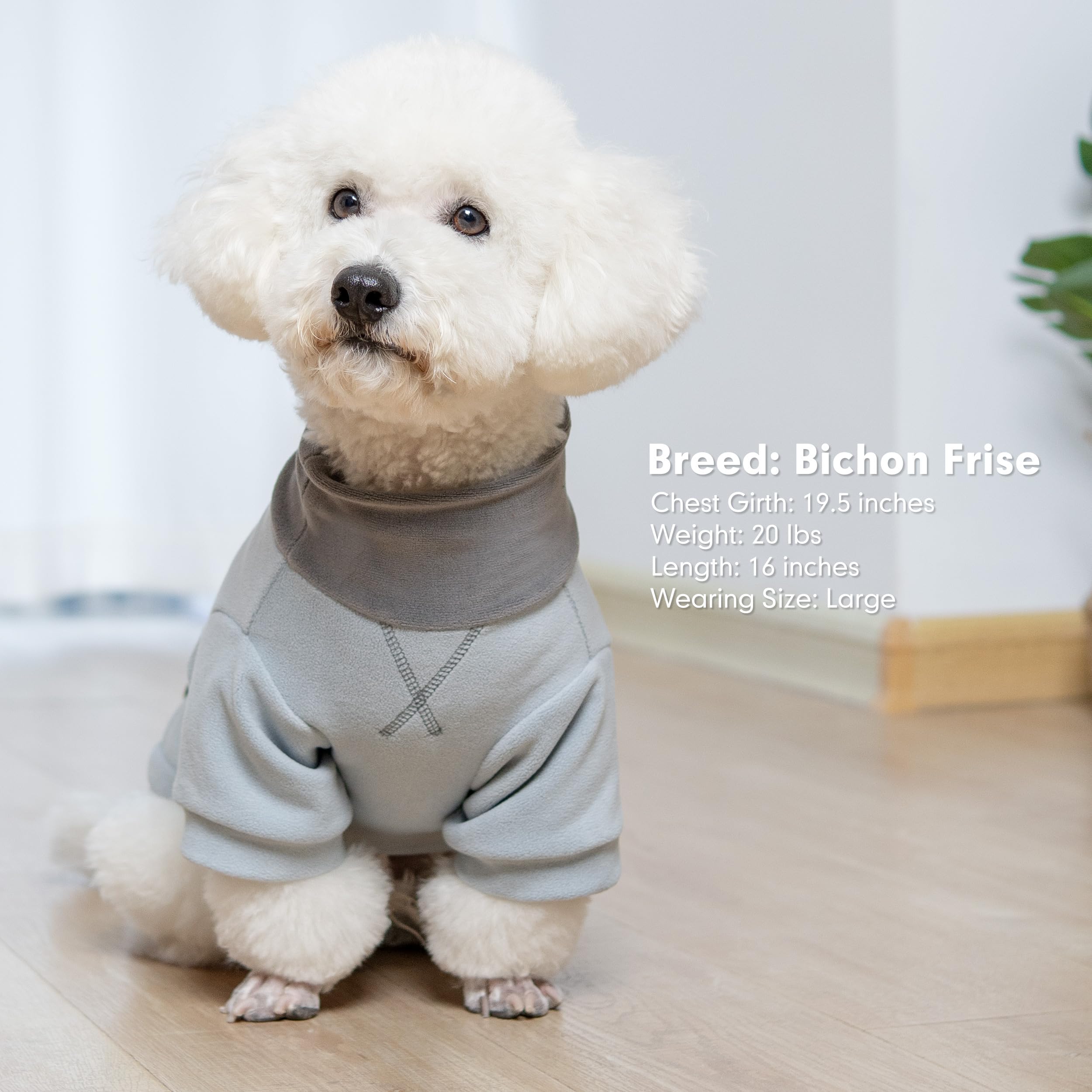Empaque doble de prendas cyeollo para perro XXL, oferta de dos piezas.