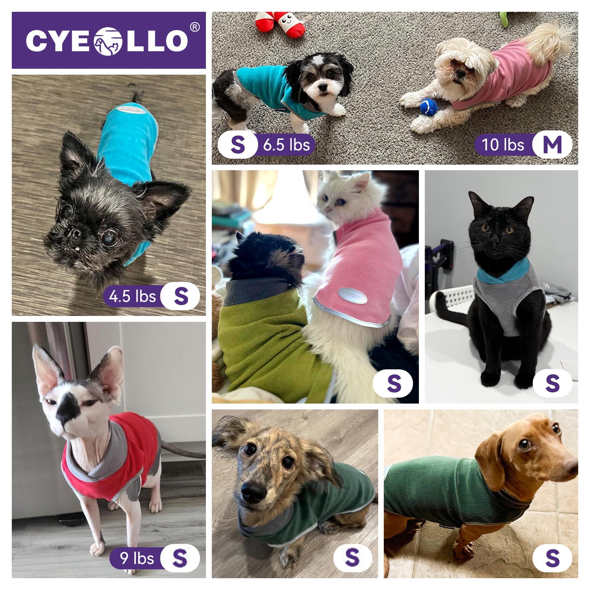 Conjunto de dos colores Cyeollo, fácil de combinar para perros pequeños.