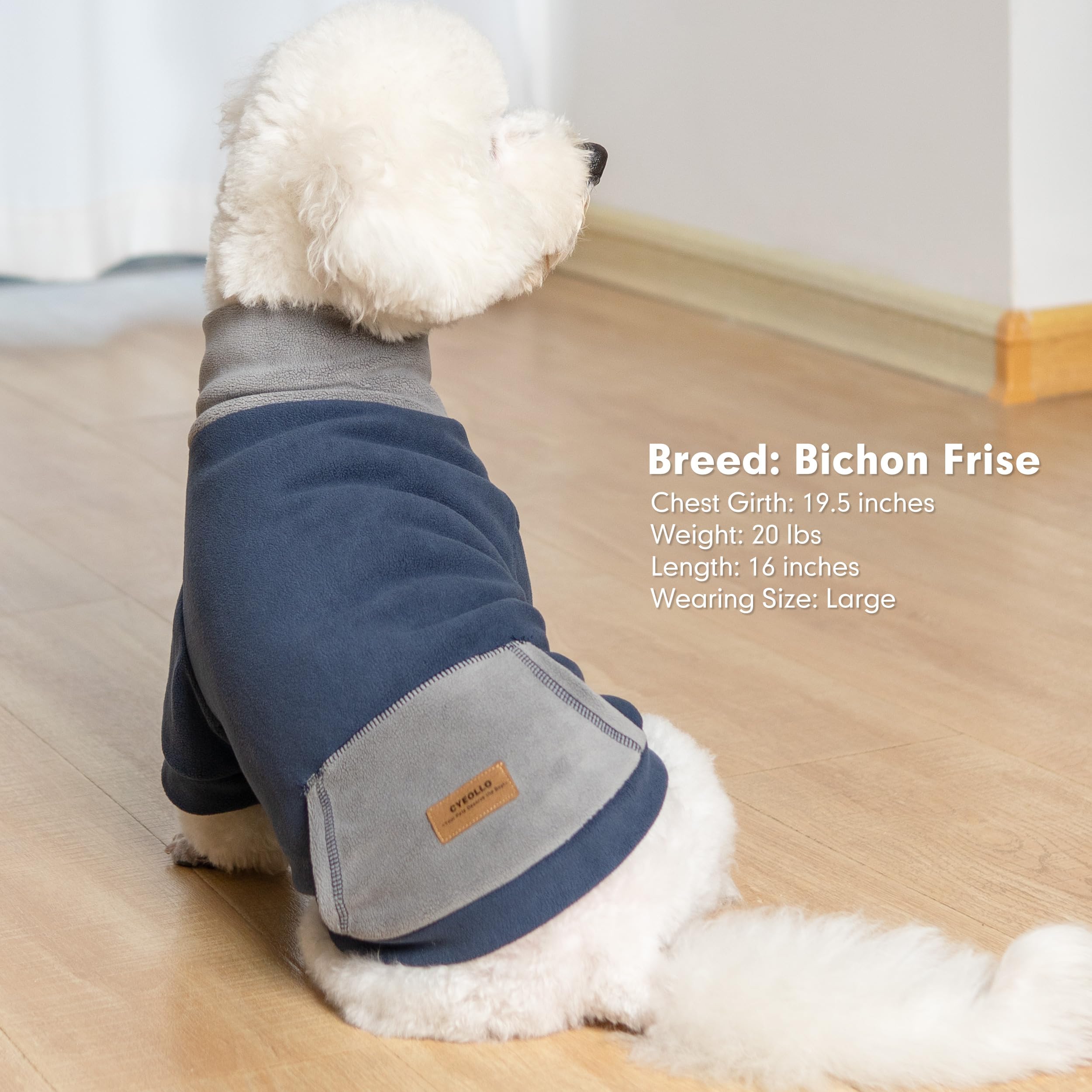 Instrucciones de cuidado de la sudadera cyeollo para perro XXL, lavado recomendado.