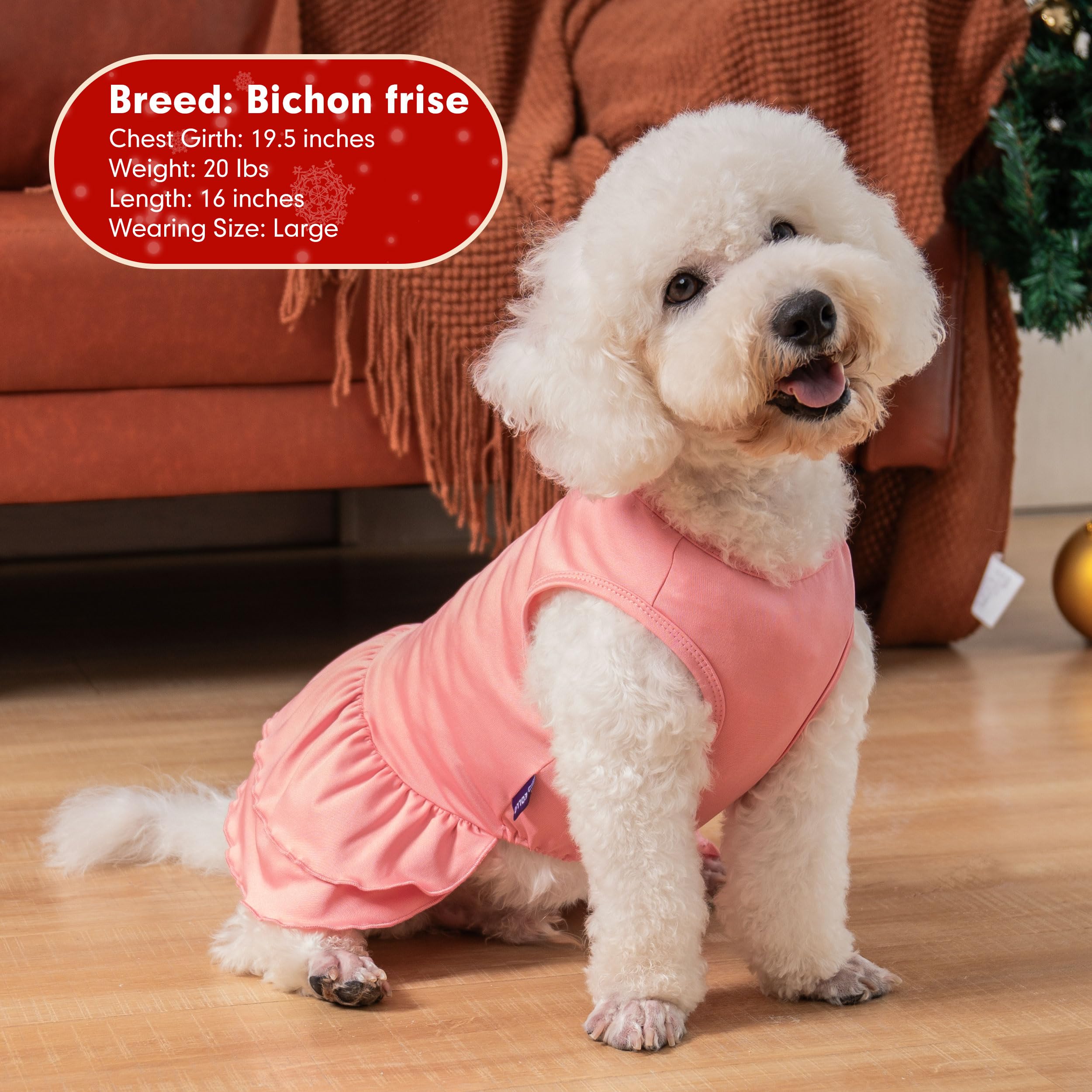 Ropa para perros lavable en máquina, sencilla de cuidar tras las reuniones festivas.