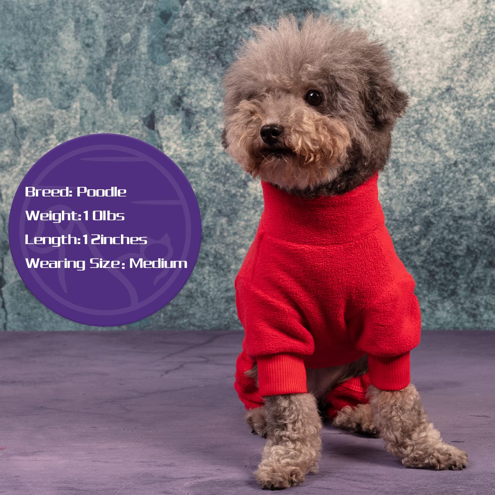 Pijama cyeollo para perro, tejido elastico, permite libertad de movimiento.