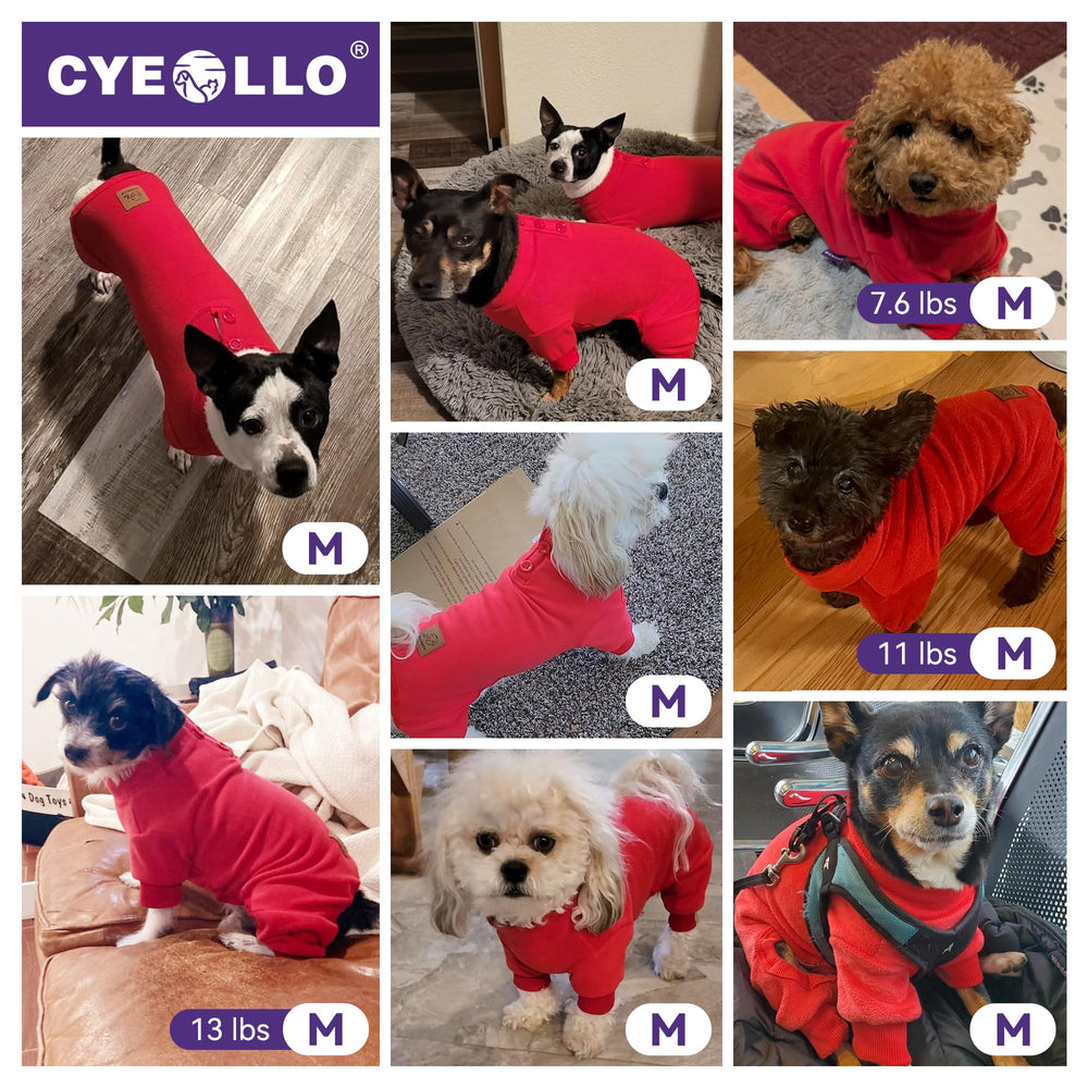 Pijama cyeollo para perro, uso exterior, protege del frío al salir.