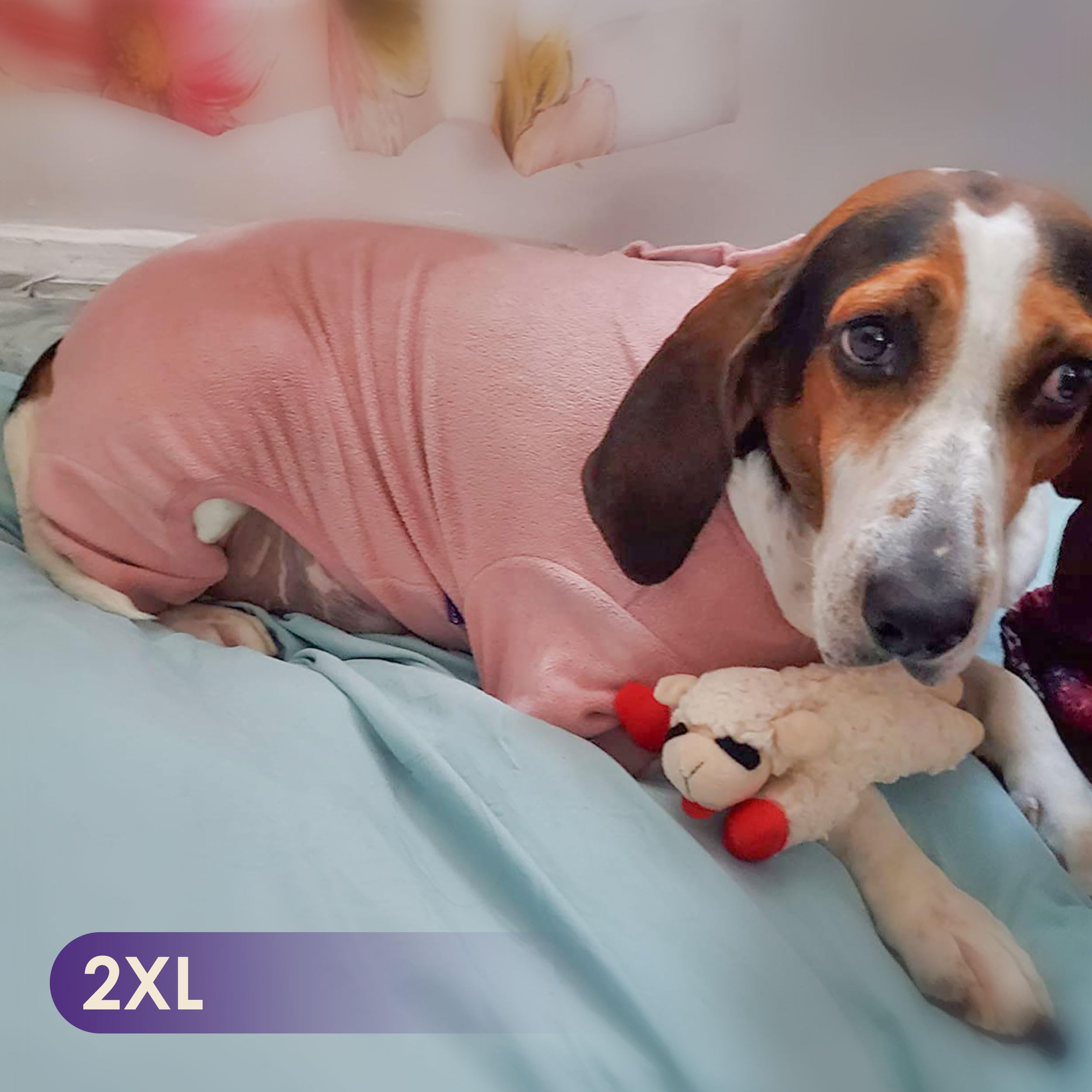 Cyeollo pijamas perro para dormir en casa