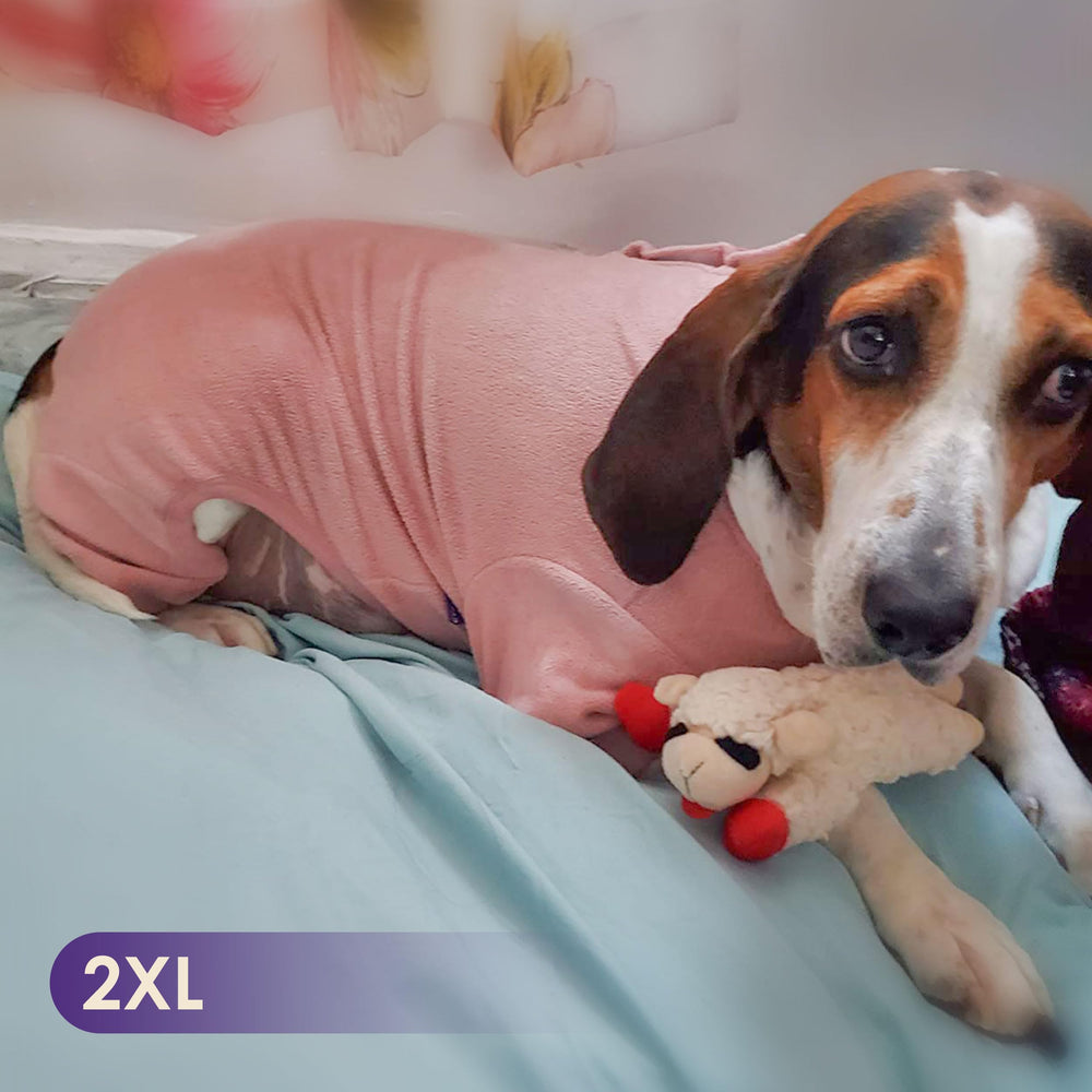 Cyeollo pijamas perro para dormir en casa